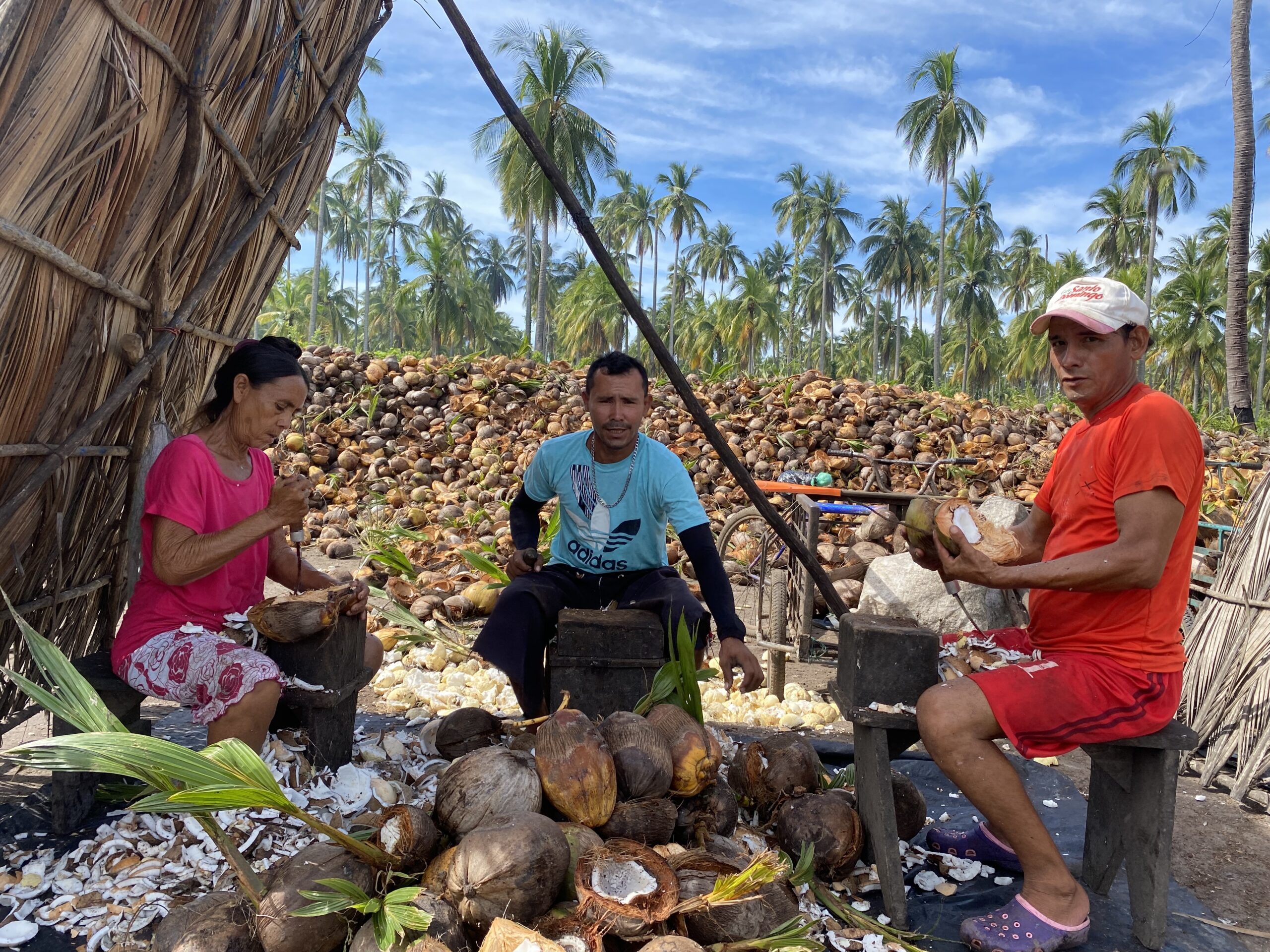 32377E20-EF16-4E58-B2E8-3C27B0D86BC2