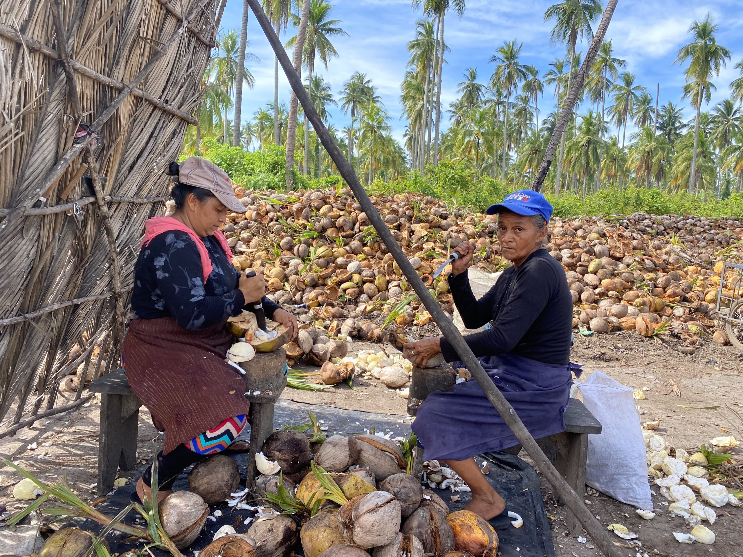 7DF10CCB-9048-42E4-8FD0-8CF3D25644CD