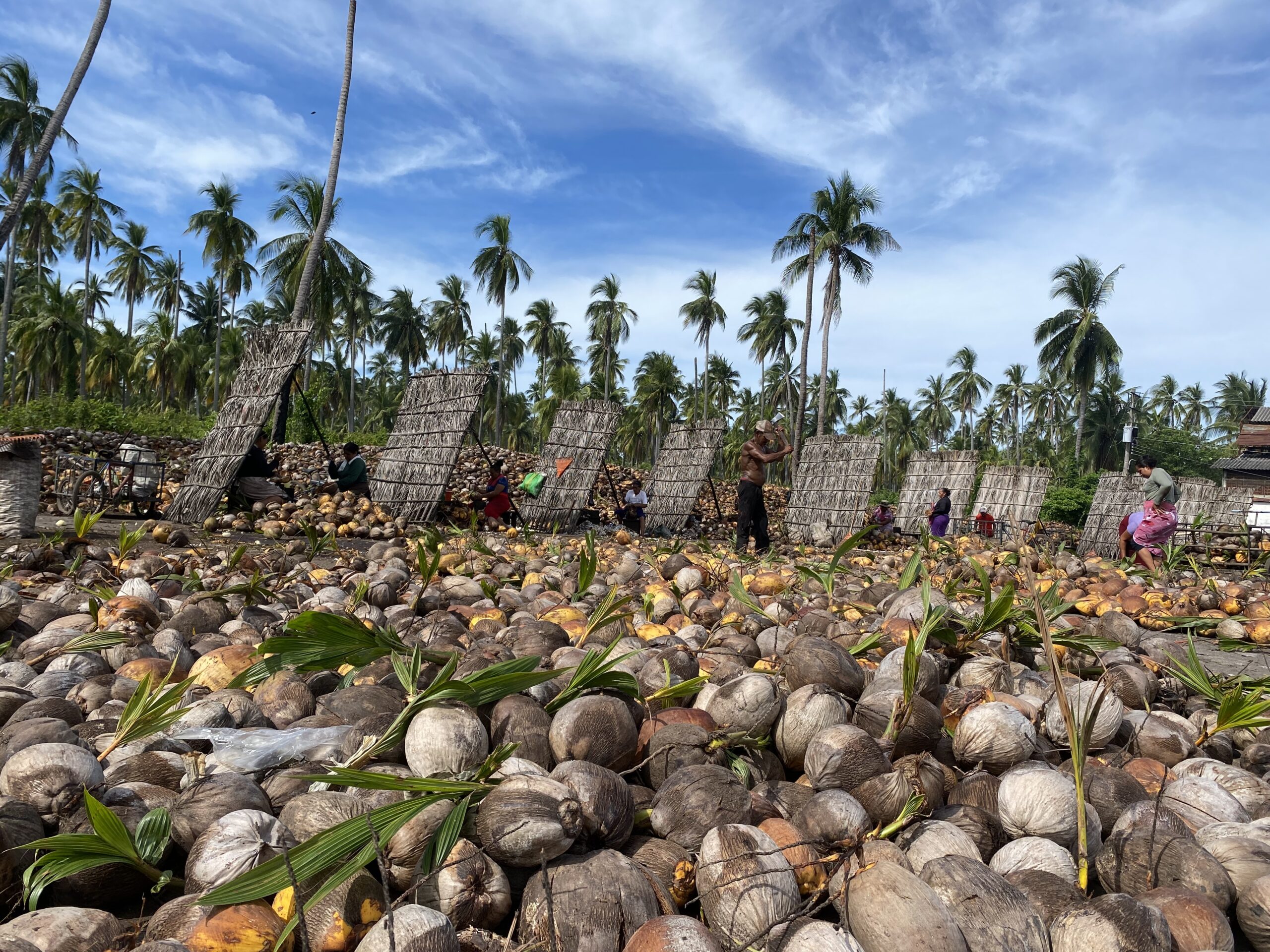 A883F3D0-0FDB-4774-8FC4-26276006648D